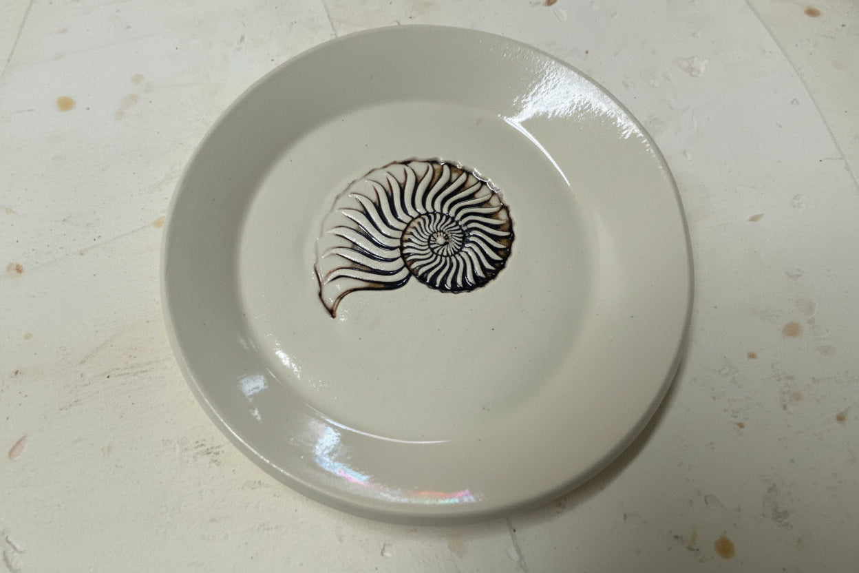 Seashell Trinket Dish