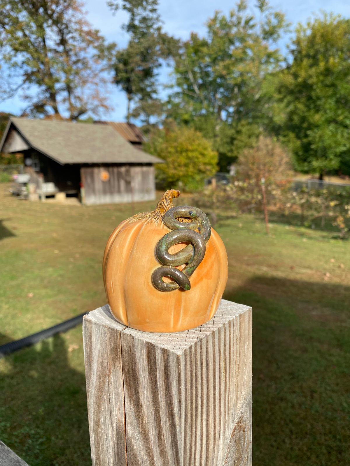 Orange Pumpkin