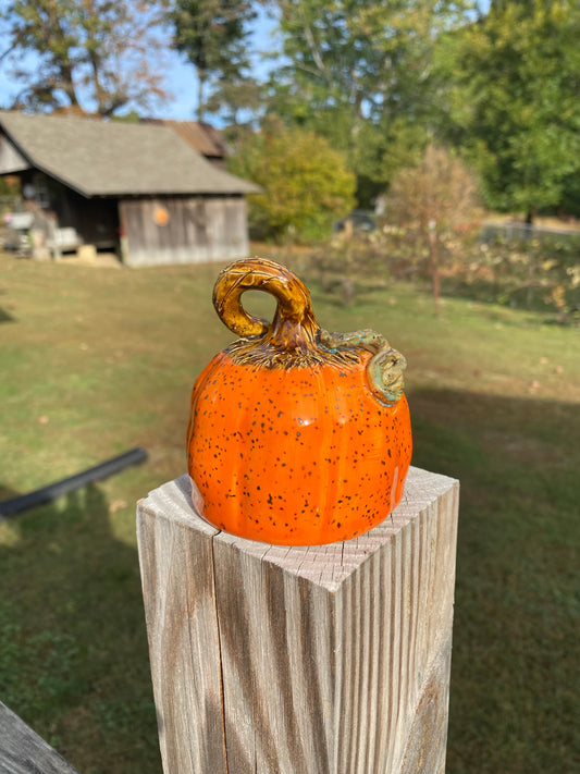 Orange Speckled Pumpkin