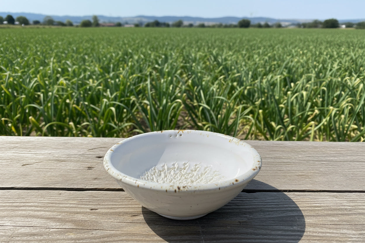 Garlic Grater Bowl