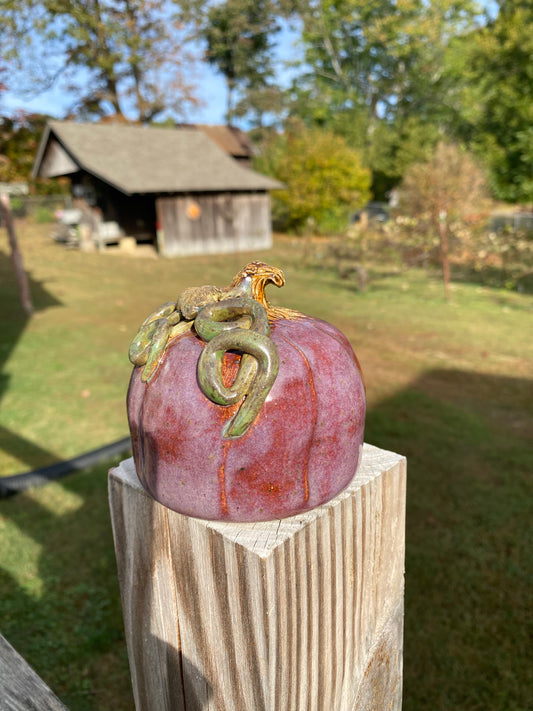 Autumn Purple Pumpkin