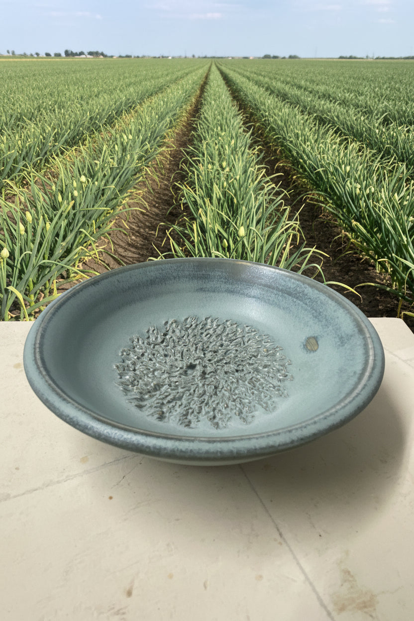 Garlic Grater Bowl