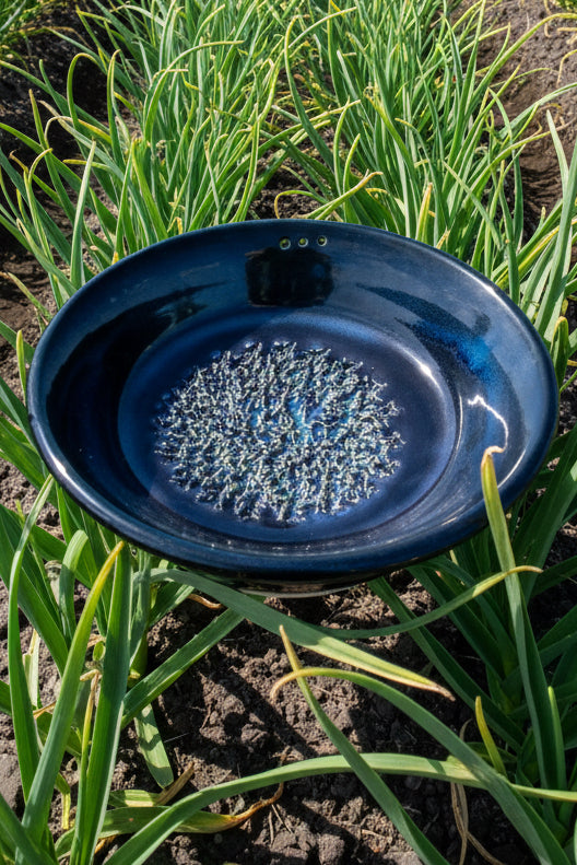 Garlic Grater Bowl w/Herb Strippers